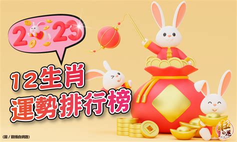 豬 2023 運勢|2023年12生肖運勢排行榜出爐 屬豬者財運大增